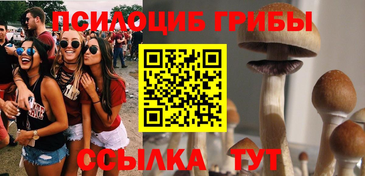 Галлюциногенные грибы Cubensis Спасск-Дальний